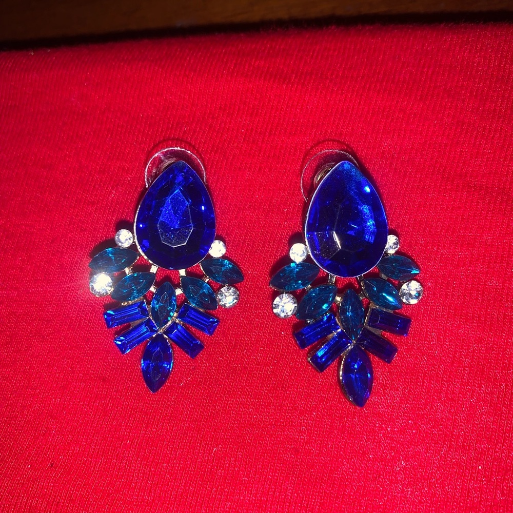 Elegant Blue Crystal Earrings